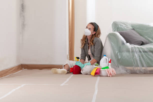Reliable Mold Remediation contractor in Holmes Beach, FL by 24 Hour Mold Removal